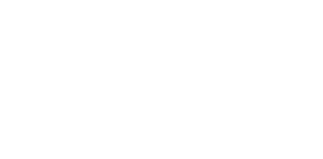 $1 Million Tax Audit Defense
